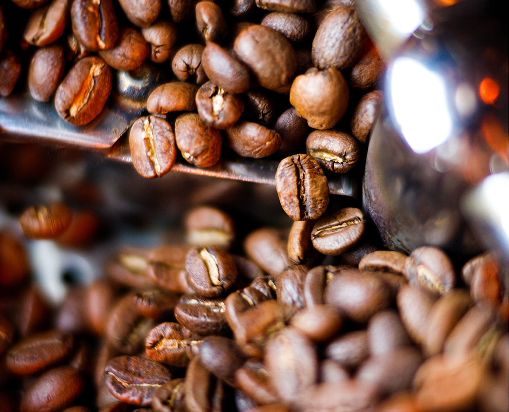 Coffee Capsules vs Fresh Ground: An Honest Comparison